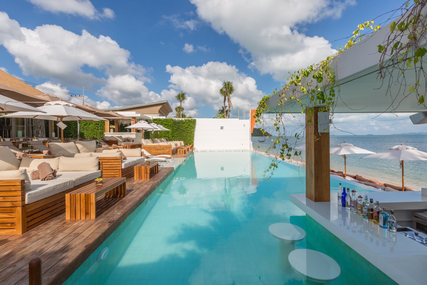 Beach club infinity pool and daybeds